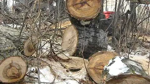 Stihl 041 farm boss chainsaw