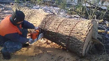 Бензопила Stihl ms 660 в работе