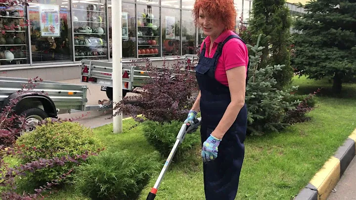 Электрические ножницы-кусторез Stihl HSA25