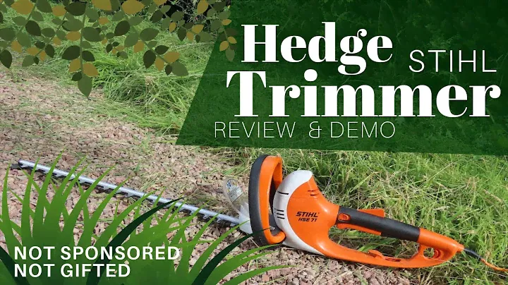 Обзор кустореза Stihl HSE 71: Уход за живой изгородью в нашей стране