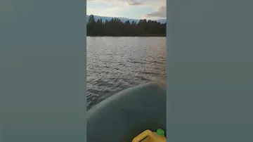 Лодочный мотор Бензопила Урал
